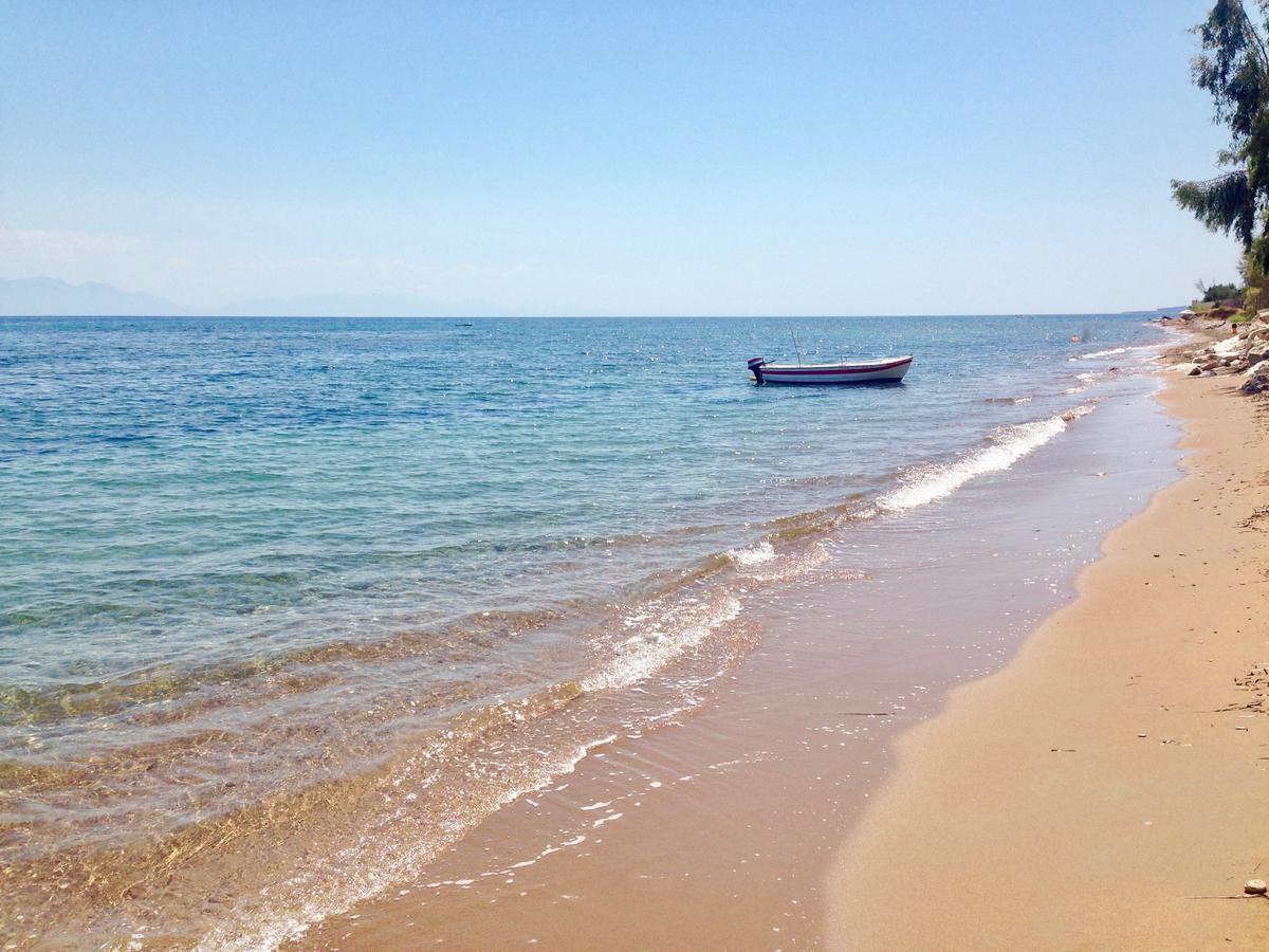 Lena Mare Aparthotel ครานี ภายนอก รูปภาพ